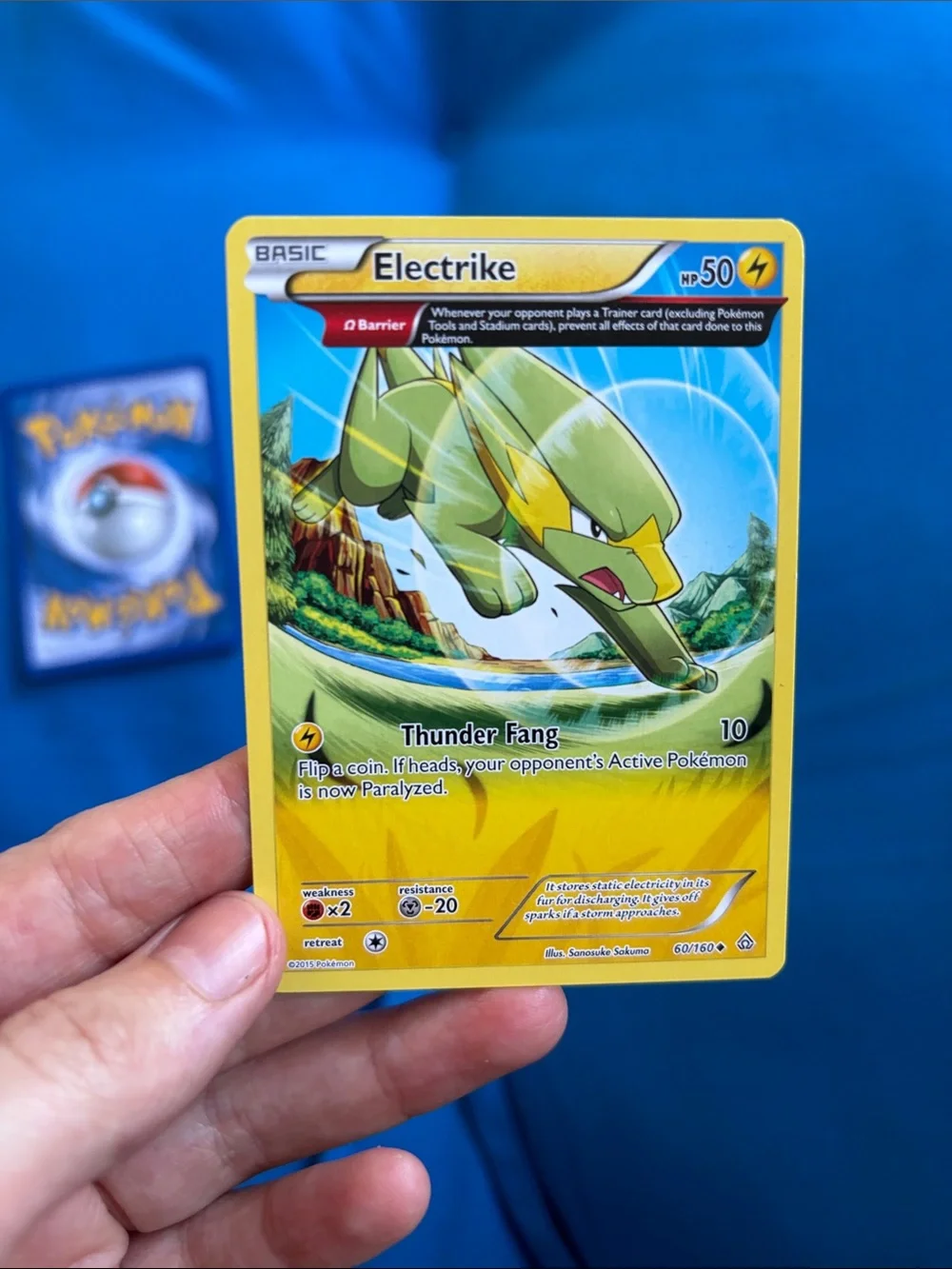 Pokémon Cards Electrike HP 50 2015 Manectric HP90 2009 NWOTS ElectricTypePokemon